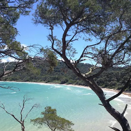 In Six Fours Les Plages With Terrace Six-Fours-les-Plages